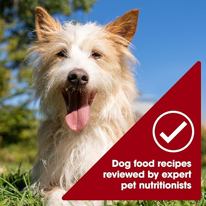 Nature's Recipe Grain Free Chicken & Beef Recipe in Savory Broth Wet Dog Food, 2.75 oz. Cup, 12 Count