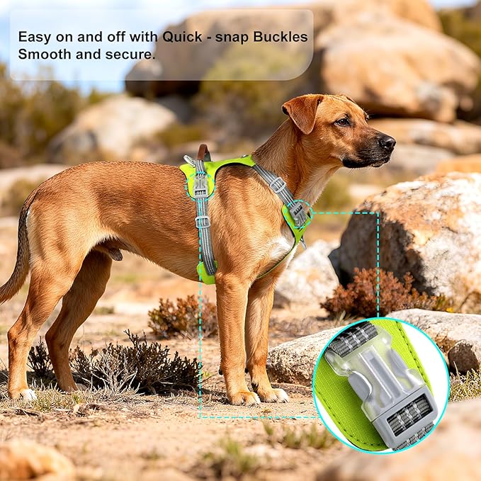 No Pull Dog Harness – Adjustable Reflective Nylon Vest for Small Medium Large Dogs, Escape Proof Training Harness with Leather Control Handle, Lightweight Aluminum Hardware (Green, L)