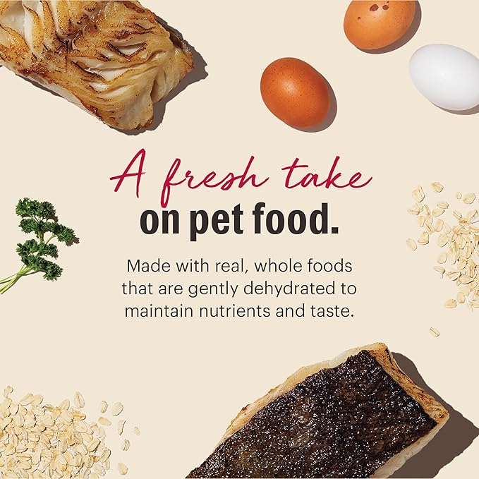 The Honest Kitchen Human Grade Wholemade™ Dehydrated Dog Food, Whole Grain Fish & Oats Dog Food, 10 lb (makes 40lbs)