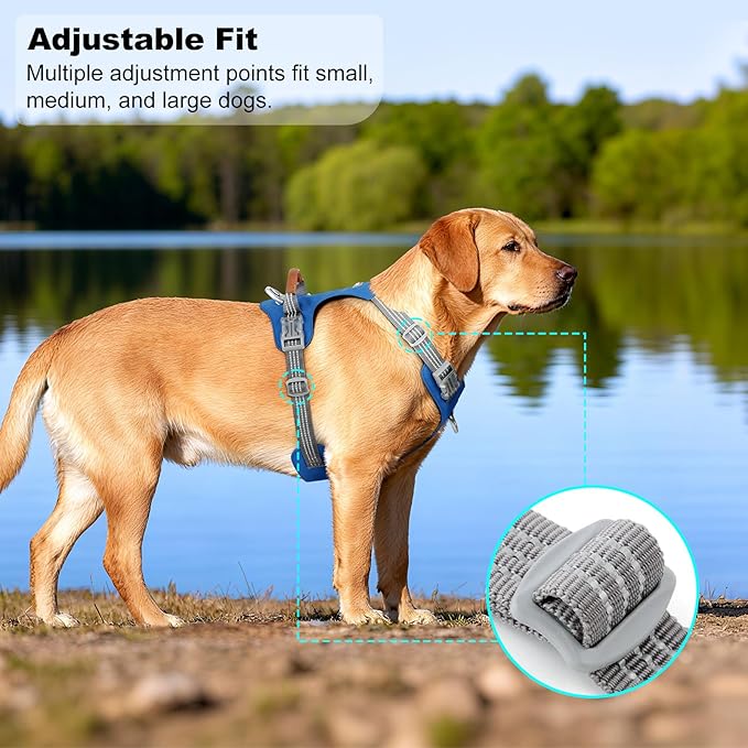 No Pull Dog Harness – Adjustable Reflective Nylon Vest for Small Medium Large Dogs, Escape Proof Training Harness with Leather Control Handle, Lightweight Aluminum Hardware (Royal Blue, L)