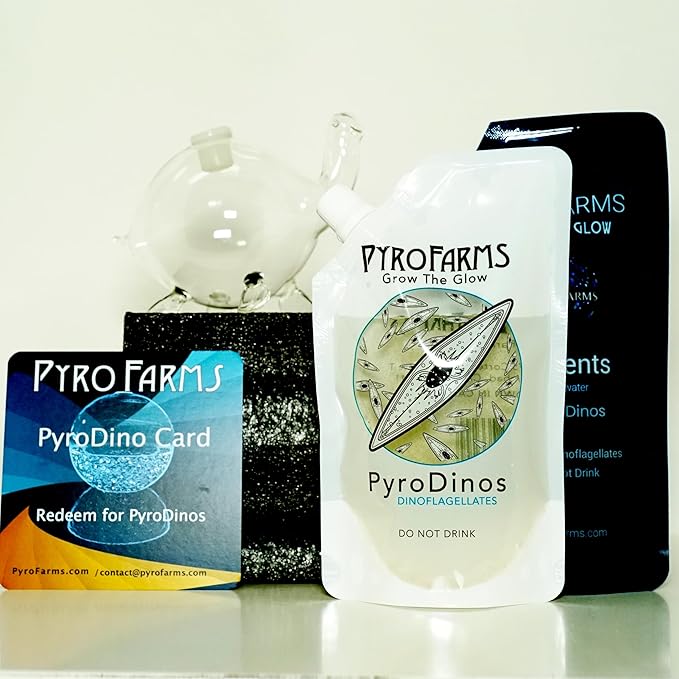Bioluminescent Bio-Turtle Gift Option, Glass Turtle Micro-Aquarium, Redeemable PyroDino Card for Live PyroDinos and DinoNutrients