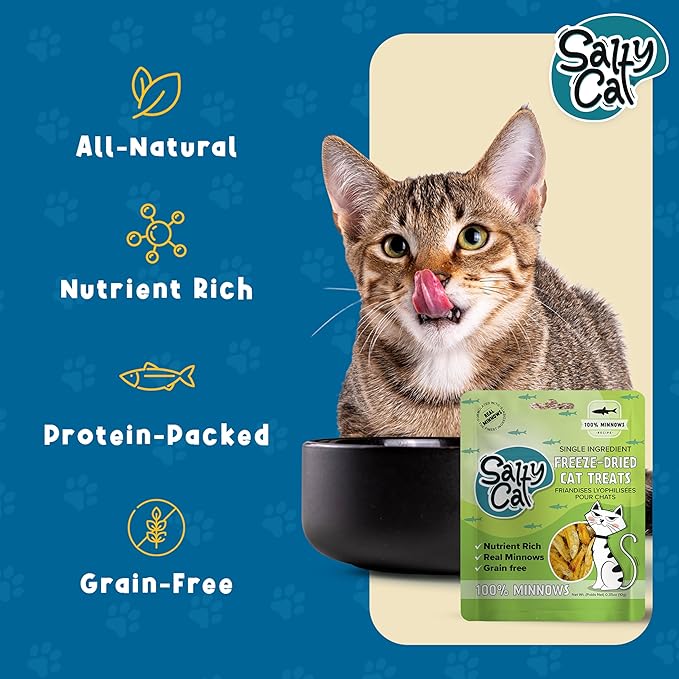 Salty Cat 100% Natural Freeze-Dried Minnows Cat Treats, 10g (12 Pack)