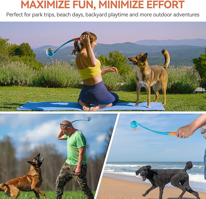 ALL FOR PAWS 19.3“ Dog Ball Launcher, Balls Thrower with Ergonomic Handle, Dog Fetch Toy with Medium Ball(2.5"), for Dogs 20-60 Pounds
