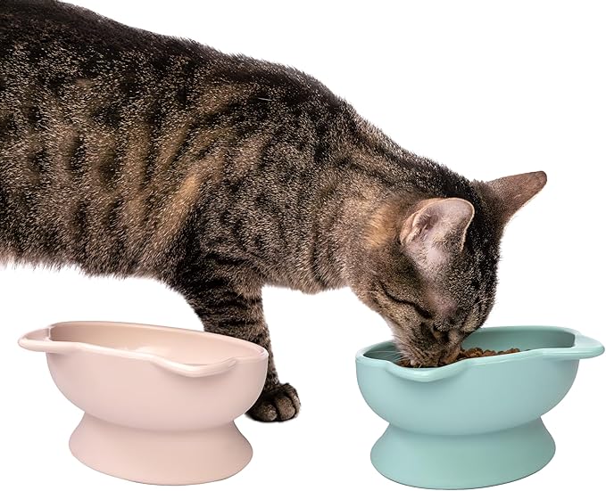 Kitty City Elevated Cat Bowls (Set of 2), Whisker-Friendly Raised Cat Food & Water Dishes, Modern Pedestal Design, Dishwasher Safe, 6.5 oz Each – Pink & Teal