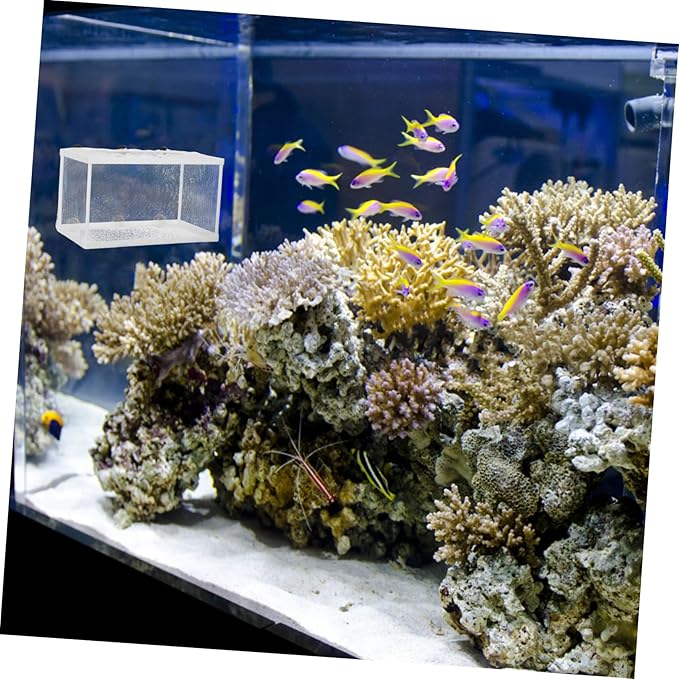 Aquarium Breeding Box Large Size Fish Net Incubator Suction Cup Fish Tank Divider