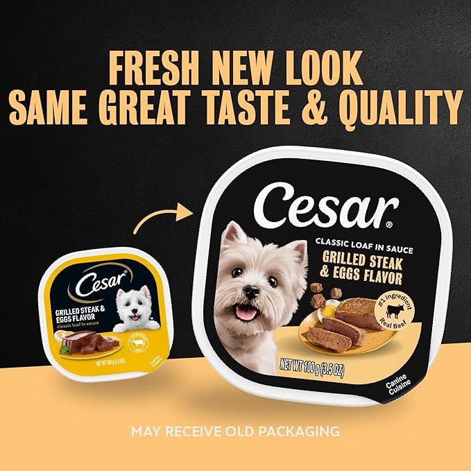 Cesar Classic Loaf in Sauce Adult Wet Dog Food Grilled Steak & Eggs Flavor, 3.5 oz. Easy Peel Trays, 24 Count (Pack of 1)