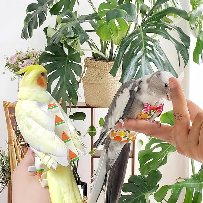 6Pcs Bird Diapers Bird Harness Flight Suits Diapers Reusable Parrot Nappy with Waterproof Inner Layer Washable Cute Urine Wet Suit Costume for Cockatiel Conure Budgie Macaw Parakeet,L