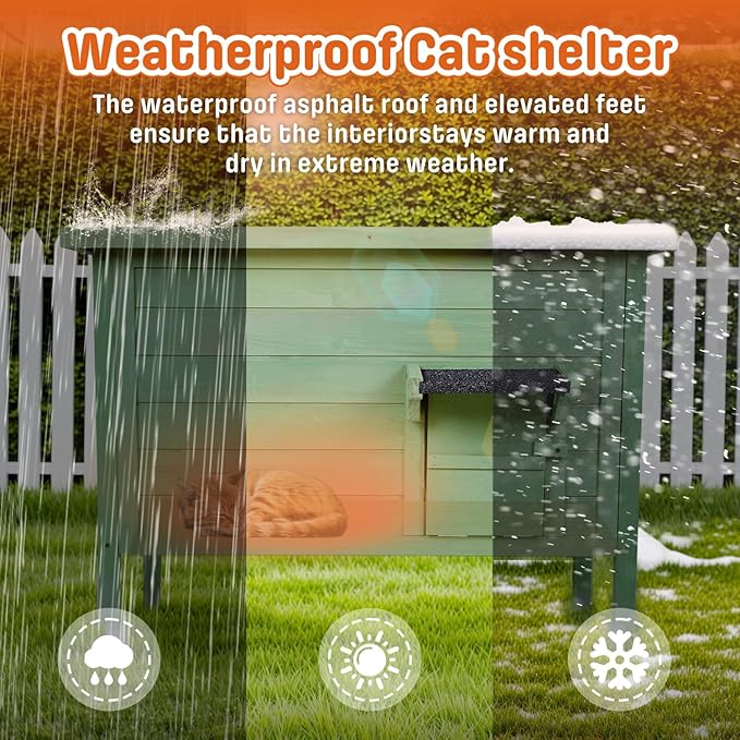 BRIOPAWS Outdoor-Cat-House-Insulated | Feral-Cat-Shelter for Winter | Weatherproof | Large Wooden Pet House for Multiple Cats | Foldable Ladder | Acrylic Side Window | Green