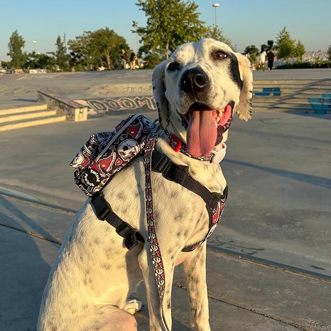 Pawlook Dog Backpack Harness – Street Smart | Waterproof, Adjustable, Breathable – Leash Attachment D-Rings, Poop Bag Pocket – Small & Medium Dogs – 8 Styles Skull Small