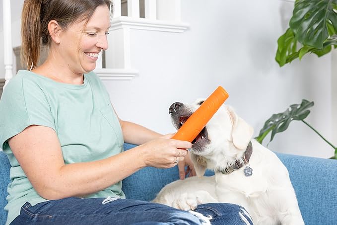Chuckit! Super Crunch Fetch Stick Dog Toy - Durable TPR Material, Enticing Crunch Sounds, Compatible with Medium and Large Dogs, Mentally and Physically Engaging - 9.2 inches, for Breeds 20-100 lbs