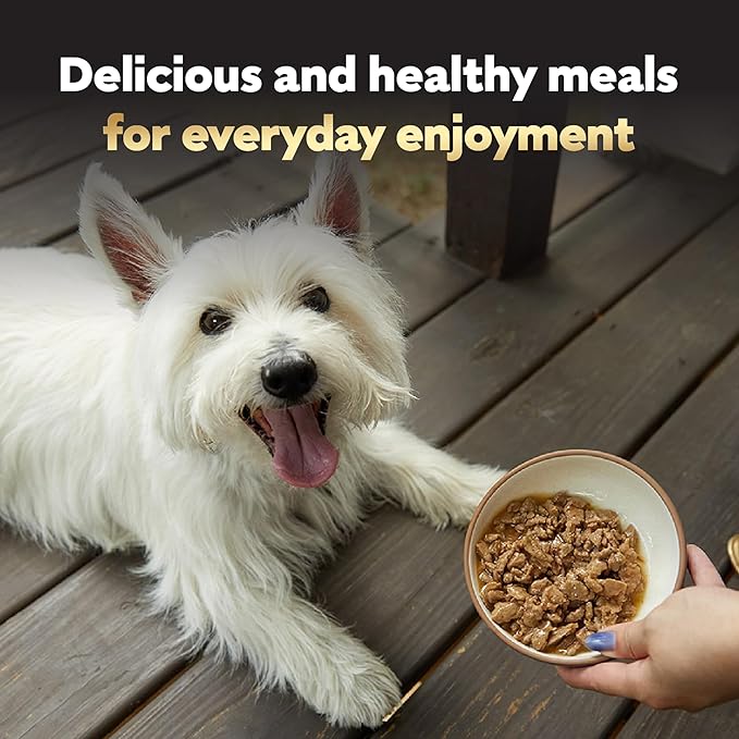 Cesar Filets in Gravy, Adult Wet Dog Food, Rotisserie Chicken Flavor, Wet Food for Dogs, 3.5 oz Trays, 24 Count (Pack of 2)