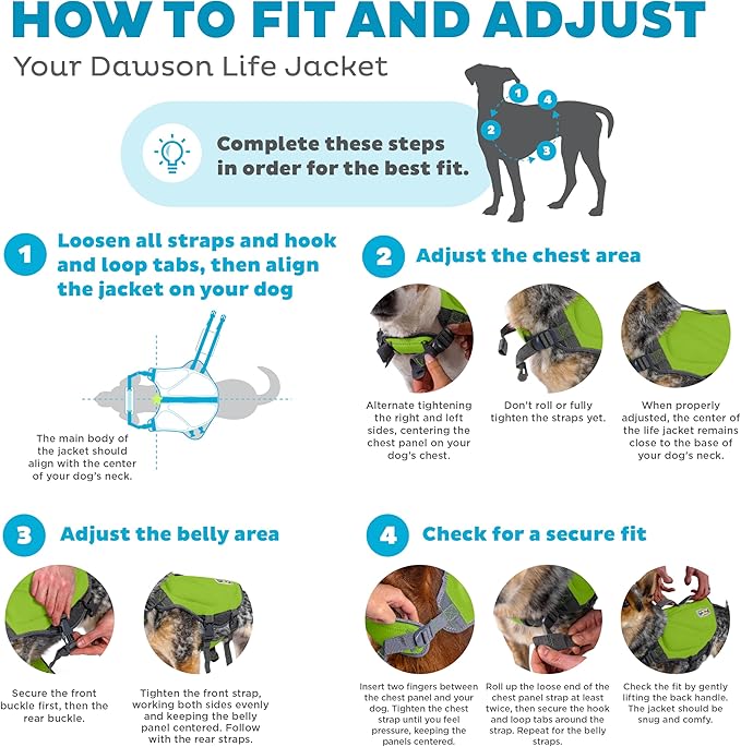 Outward Hound Dawson Swim Dog Life Jacket, High-Performance Neoprene Dog Life Vest for Swimming, Boating, and Water Safety, XL, Green