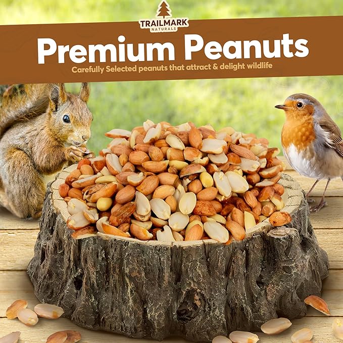5 LB - Raw Shelled Peanuts For Squirrels, Out of Shell Peanuts For Birds and Wildlife- Squirrel Food, Wild Bird Seed - Grown in The USA