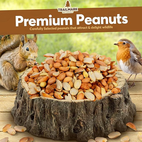 1 LB - Raw Shelled Peanuts For Squirrels, Out of Shell Peanuts For Birds and Wildlife- Squirrel Food, Wild Bird Seed - Grown in The USA