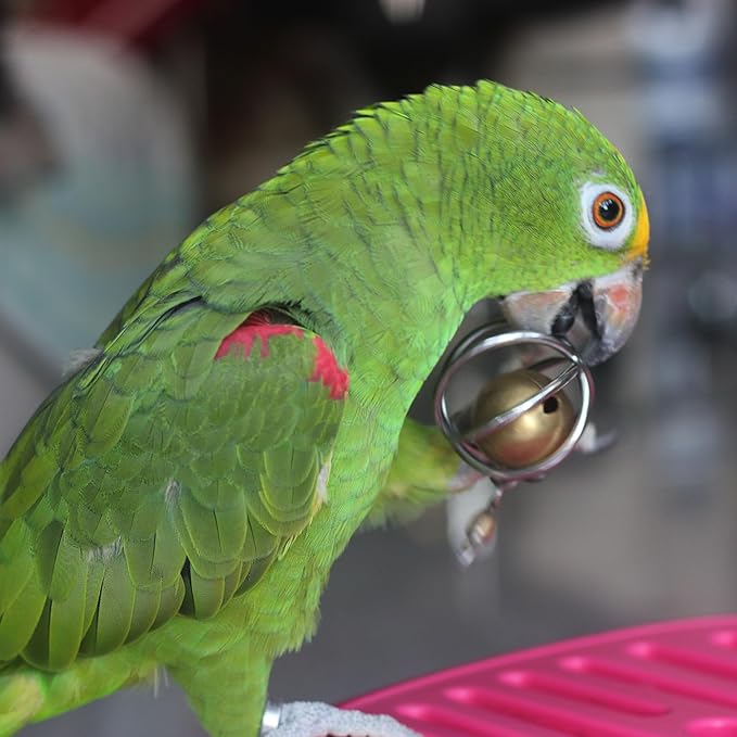 Heavy-Duty Stainless Steel Large Parrot Toy — Chew-Proof Foraging Ball (with Bell), Suitable for Macaws, Eclectus Parrots, Amazon Parrots, etc. (Medium)