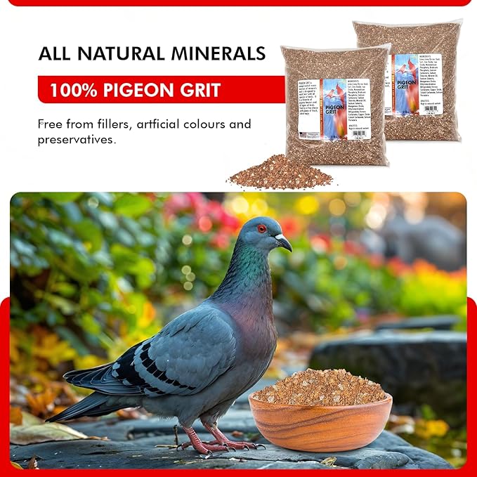 Morning Bird Pigeon Grit - Healthy & Nutritious Pigeon Food to Support Strong Muscles & Bones for Grit Eating Birds - Supports Digestion & Packed with Essential Minerals 18 lbs (2-Pack, 9 lbs Each)