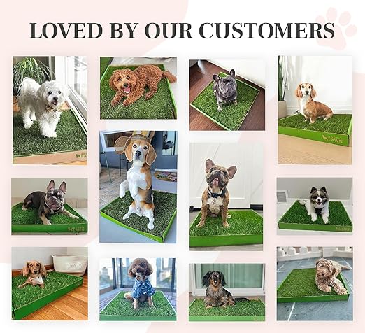 DoggieLawn Real Grass Puppy Pee Pads- 24 x 20 Inches - Perfect Indoor Litter Box for Dogs - No Mess, Easy-to-Use - Potty Training for Pets - Eco-Friendly Disposable Bathroom with Real Living Grass