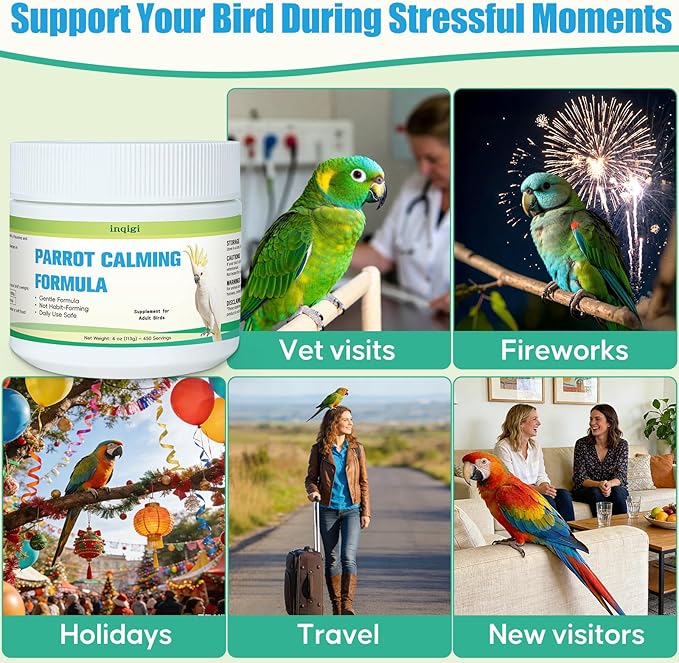 Parrot Calming Supplement – Natural Bird Stress Support Powder for Fireworks, Travel & Visitors – Vet-Formulated – Easy to Use Daily Support for Parrots – 4oz (450 Servings)