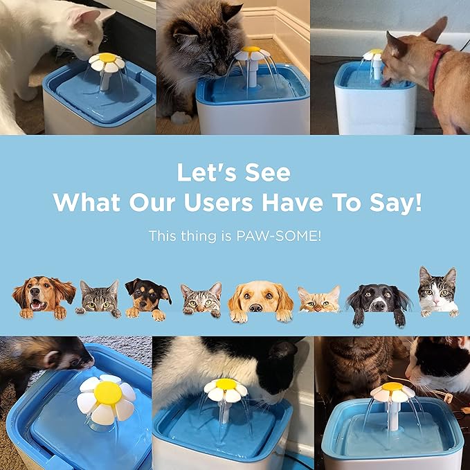 Ciays Cat Water Fountain