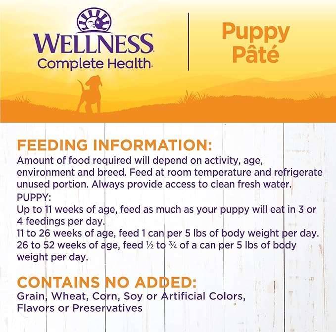 Wellness Complete Health Pate Puppy Canned Wet Dog Food, Wholesome Grains, Natural, Chicken and Salmon Recipe, 12.5 oz, Pack of 12 Cans