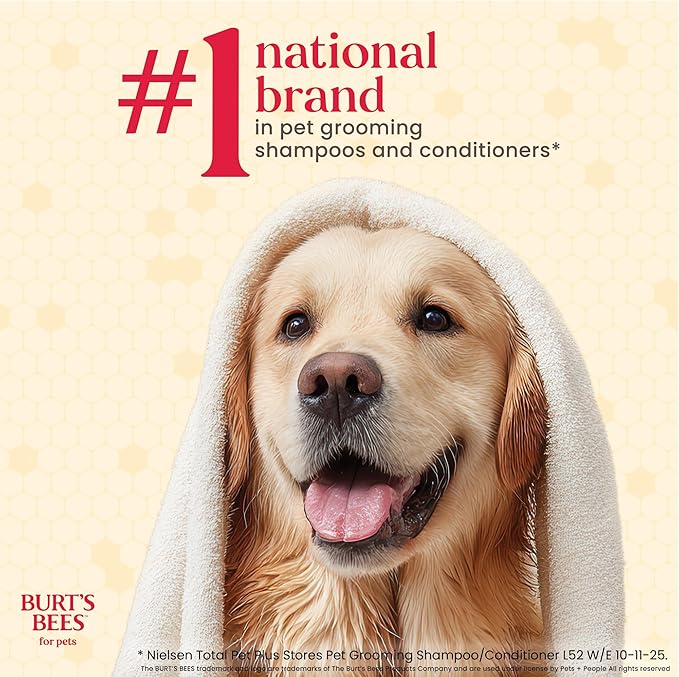 Burt’s Bees for Pets Deodorizing Shampoo with Manuka Honey and Charcoal for Dogs - Naturally Derived Ingredients, 16 Fl Oz