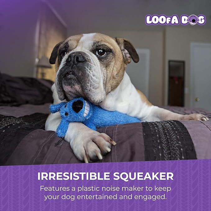 Multipet Original Loofa Dog Plush Toy - Squeaky Toy for All Dogs - Extra Soft Plush - Stuffed Animal Dog Toys for Playing (1 Count, 6”, Random Color Surprise)