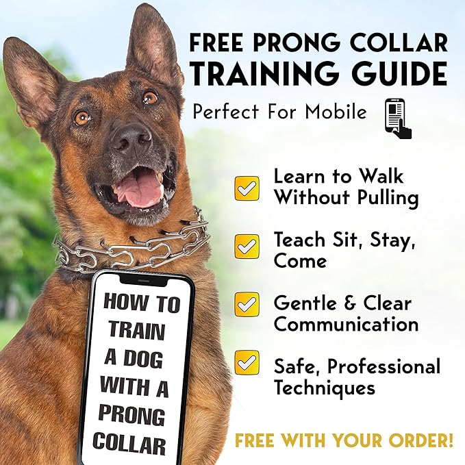 PetJett Prong Collar for Dogs Training Collar Adjustable Choke Collar for Dog Quick Release Pinch Collar for Dog for Small Medium Large Dogs No Pull Walking Tool - Stainless Steel Metal Choker Chain