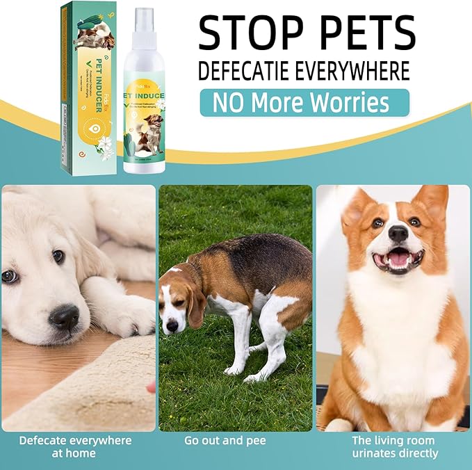 Go Here Potty Training Spray for Dogs Cats,Dog Pee Attractant Spray,Dog Training & Behavior Aids for Dogs Cats to Pee in One Spot,Prevent Your Pet from Soiling The Carpet,120ML