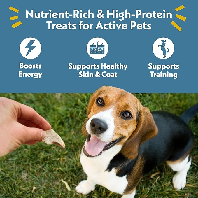 Fresh Is Best Freeze Dried Dog Treats – Raw Freeze Dried Treats for Dogs & Cats in Resealable Zipper Bag – High-Protein Single Ingredient Pork Heart Fillets – Made in The USA