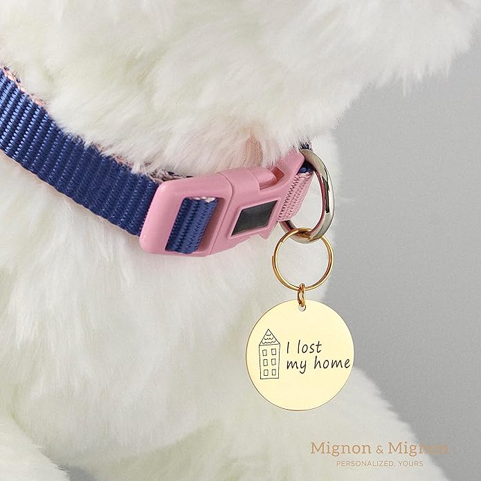 MignonandMignon Personalized Dogs Cats ID Tags Pet Collar Coin Charm Lovely Symbols Dog Name Collar Accessories Father's Day Gift Custom Engraved Products for Extra Small Dog Anti-Lost Pet -AID-C-S