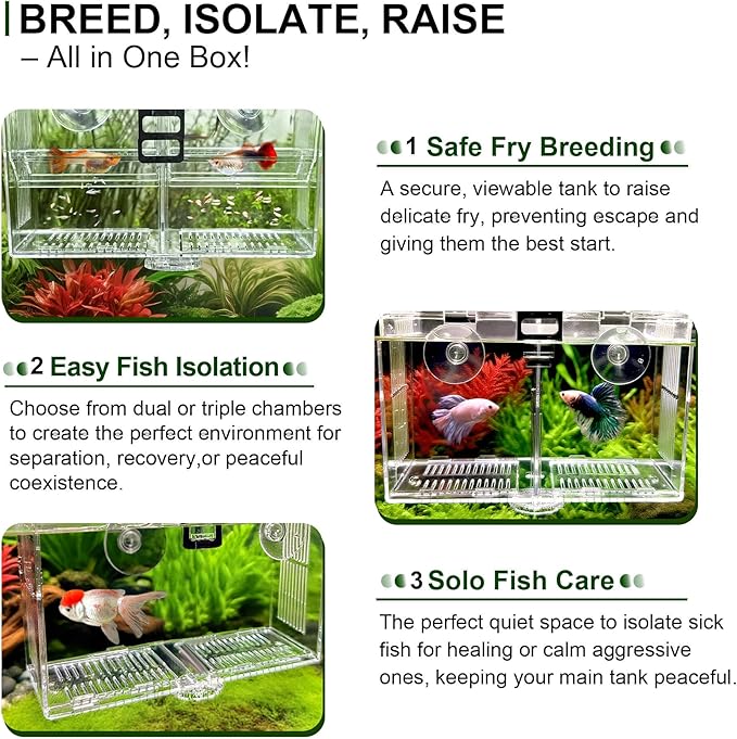 Dual-Chamber Aquarium Fish Breeder & Isolation Box, Transparent Hatching Incubator Tank with Suction Cups & Hook, Nursery for Livebearer Guppy Fry Breeding and Betta Fish, Shrimp Quarantine