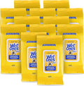 Wet Ones for Pets Deodorizing Multipurpose Dog Wipes with Baking Soda, Tropical Splash Scent - Desmellizing Wipes for Dogs with Wet Lock Seal, 100 Count - 12 Pack