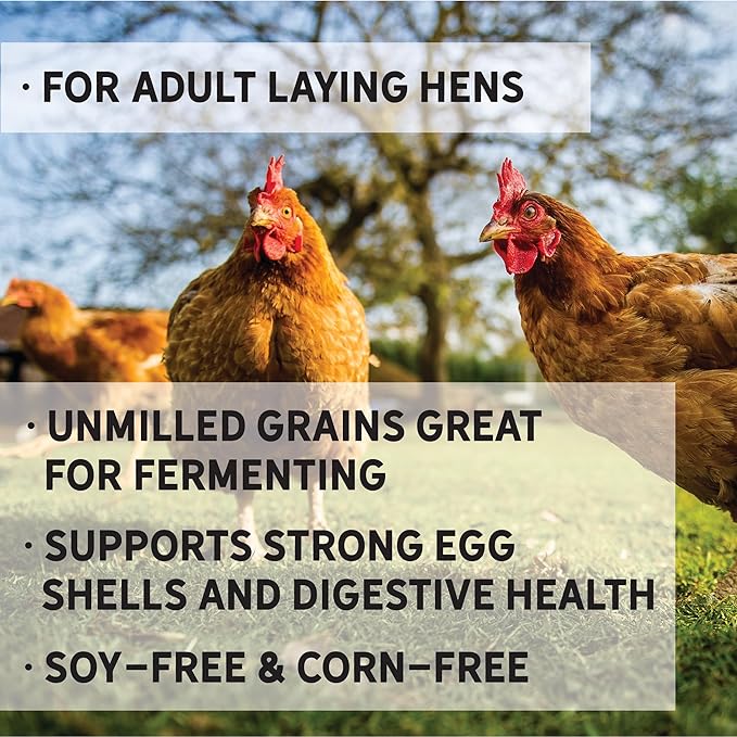 New Country Organics | Unmilled Layer Feed for Laying Hens | Soy-Free | 17% Protein | Certified Organic and Non-GMO | Great for Fermenting | 40 lbs Bag
