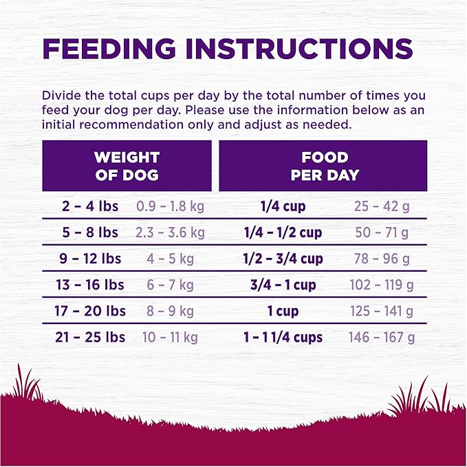 Wellness Complete Health Age Advantage Small Breed Senior Dry Dog Food, Wholesome Grain Kibble, Natural, Turkey and Peas Recipe, 4 lb Bag