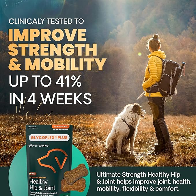 VetriScience Ultimate Strength Healthy Hip & Joint Chews, GlycoFlex Glucosamine, Chondroitin and Green-Lipped Mussel Joint Support Supplement for Dogs, Soothe Joint Discomfort, Bacon, 120 Count
