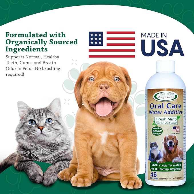 Oral Care Water Additive for Cats & Dogs – Gentle Dental Support – Reduces Breath Odors, Promotes Gum Health – No Brushing – Convenient for Daily Use, Fresh Mint Flavor, 16 FL oz