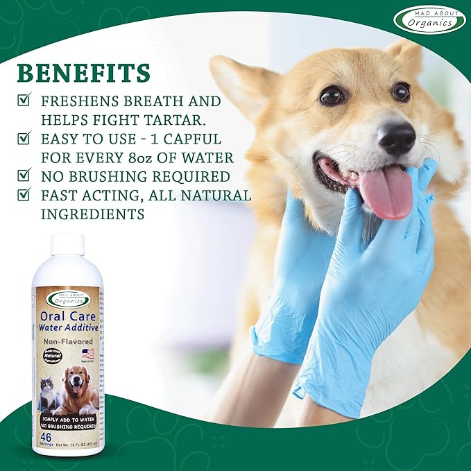 Oral Care Water Additive for Cats & Dogs – Gentle Dental Support – Reduces Breath Odors, Promotes Gum Health – No Brushing – Convenient for Daily Use, Non-Flavored, 16 FL oz