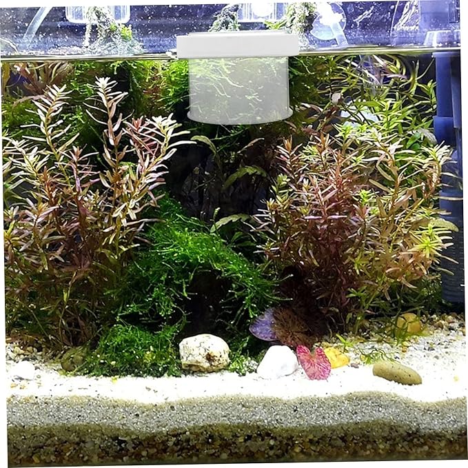 Didiseaon 3pcs Floating Acrylic Fish Breeding Box Fish Tank Isolation Container for Small Easy to Remove Water Quality Friendly Cover