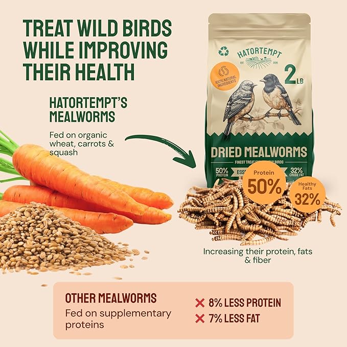 Hatortempt 2lb Dried Mealworms for Chickens - 50% Protein and 32% Essential Fats to Support Healthy Feather Growth During Molt - Organic Treats for Chickens, Ducks, Wild Birds & Reptiles