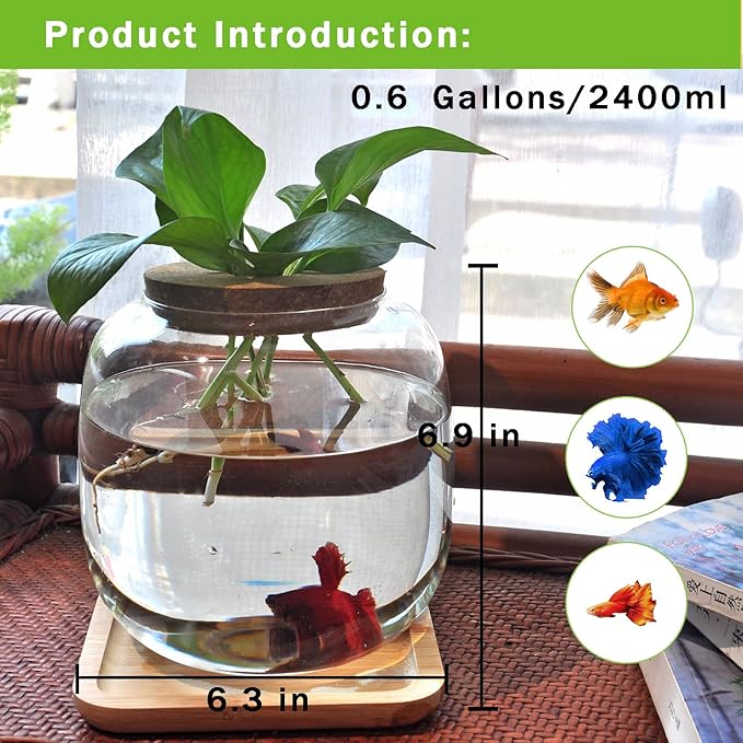 Fish Bowl Glass Small Betta Fish Tank with Bamboo Stand, Plant Propagation Station Hydroponic Terrarium with Lid Small Aquarium 0.6 Gallon