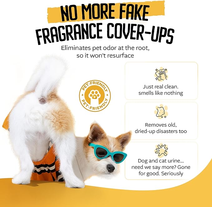P*SS OFF+ All Purpose Stain and Odor Remover - Professional Strength Cat Pee Odor Eliminator, Deodorizer for Pet Urine & Poop, Carpets, Upholstery, Leather, Non Toxic Air Freshener for Home - 32 Oz