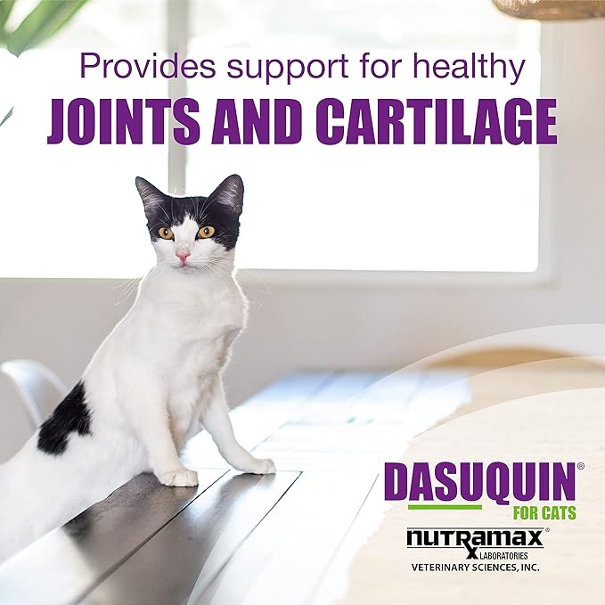 Nutramax Dasuquin Joint Health Supplement for Cats - with Glucosamine, Chondroitin, ASU, Boswellia Serrata Extract, Green Tea Extract, and Omega-3, 84 Soft Chews,(Pack of 2)