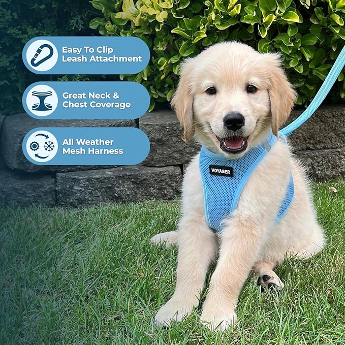 Best Pet Supplies Voyager Step-in Air Harness - All Weather Mesh, Reflective, No Pull Harness for Dogs, Cats - Secure with Hook & Loop Fastener, Buckle, Double D-Rings - Baby Blue, XXXS