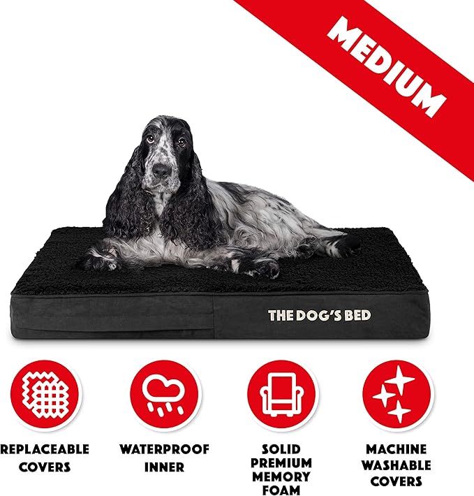 The Dog’s Bed Orthopedic Memory Foam Dog Bed Mattress, Plush Fabric, Grey with Blue Trim, Medium, 4-Inch