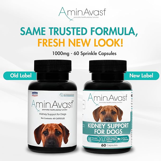 AminAvast Kidney Support Supplement for Dogs, 1000mg 2-Pack - Promotes Natural Kidney Function - Aids in Health and Vitality of Aging Kidneys - Easily Administered - 60 Sprinkle Capsules