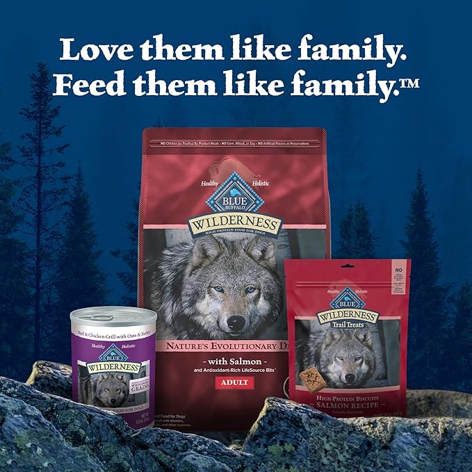 Blue Buffalo Wilderness Natural High-Protein Dry Food for Adult Dogs, with Wholesome Grains, Salmon, 24-lb. Bag