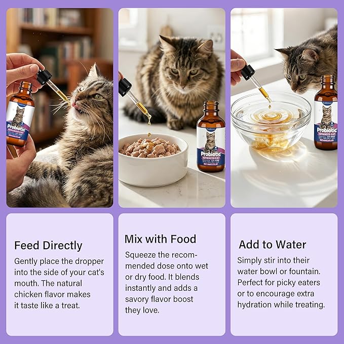 Liquid Probiotics for Cats with Prebiotics & Collagen, Digestive Health Supplement for Constipation, Diarrhea Relief & Immune Support, Skin and Coat Stool Softener, Chicken Flavor, 2 fl oz