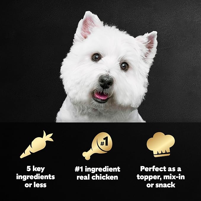 Cesar Simply Crafted Adult Wet Dog Food Toppers for Dry Food, Chicken, Carrots, Barley & Spinach, 1.3 oz Tubs, 10 Count