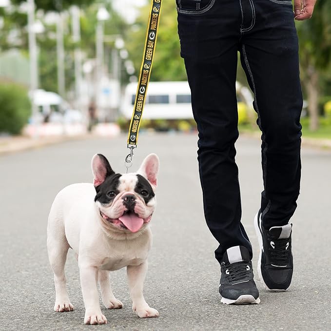 NFL PET Green Bay Packers Dog Leash, Medium Football Team Leash for Dogs & Cats - Shiny & Colorful, Licensed by The NFL