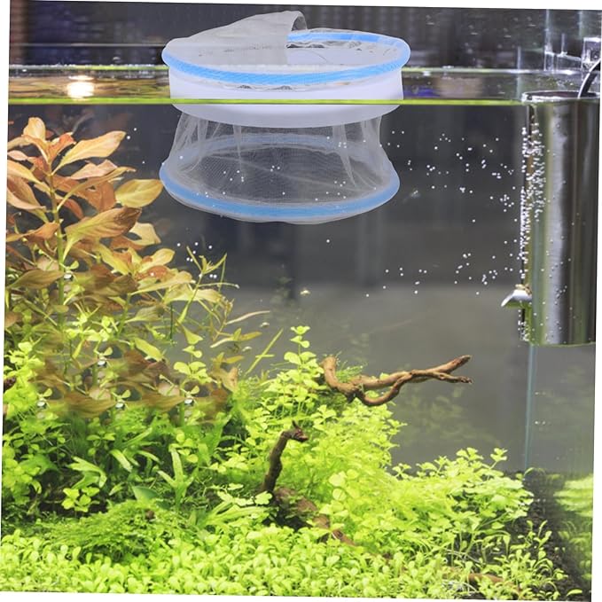 Toyvian 2pcs Floating Breeding Box for Guppy Fry Transparent Nylon Fish Incubator Net with Stable Design for Aquarium Tank Efficient Isolation and Monitoring Fish Breeding